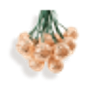 Decoratiuni solare