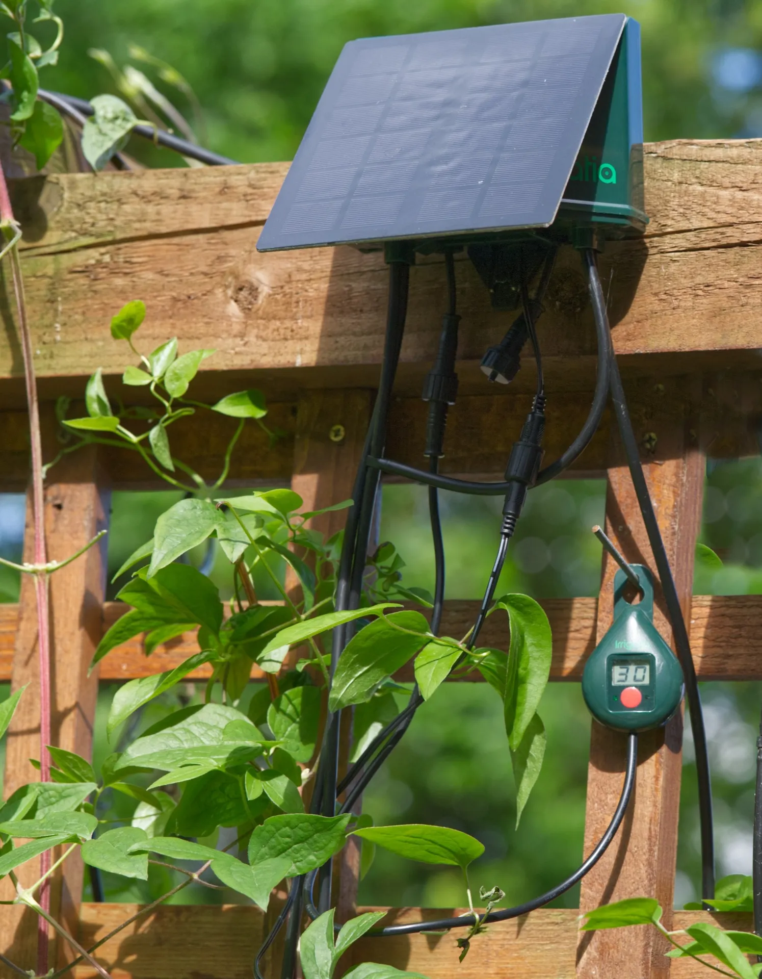 Sistem de irigare solară automată SOL-C36Q (cu 20 de picurătoare)
