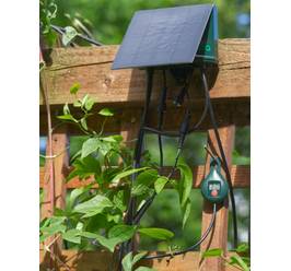 Sistem de irigare solară automată SOL-C36Q (cu 20 de picurătoare)