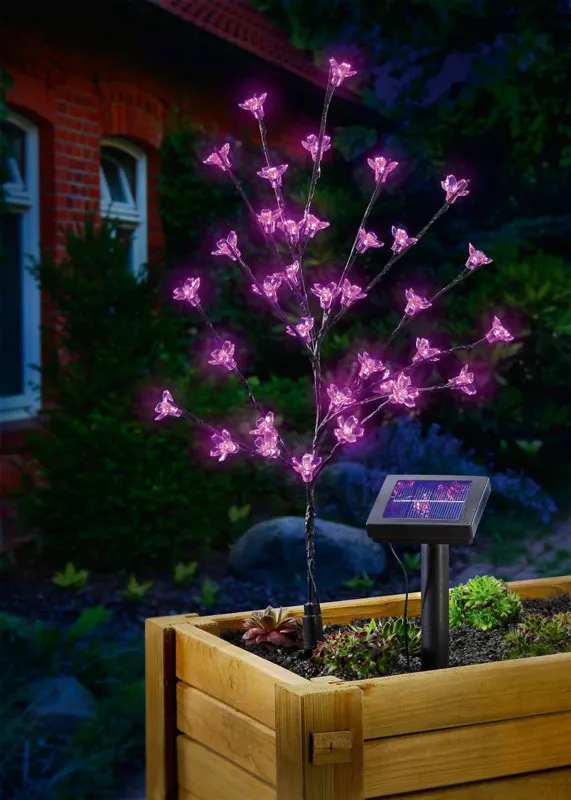 Pom de lumină solar Esotec 102104 cu flori roz