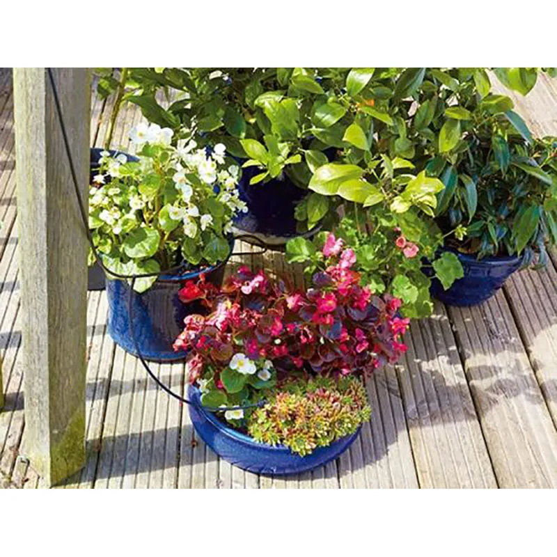 Set de extensie cu 20 picurătoare pentru irigare Irrigatia C18Q/C36Q